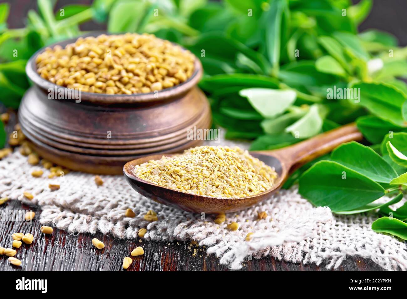 Ground fenugreek in a spoon and seeds in a bowl on burlap with green leaves against dark wooden board Stock Photo