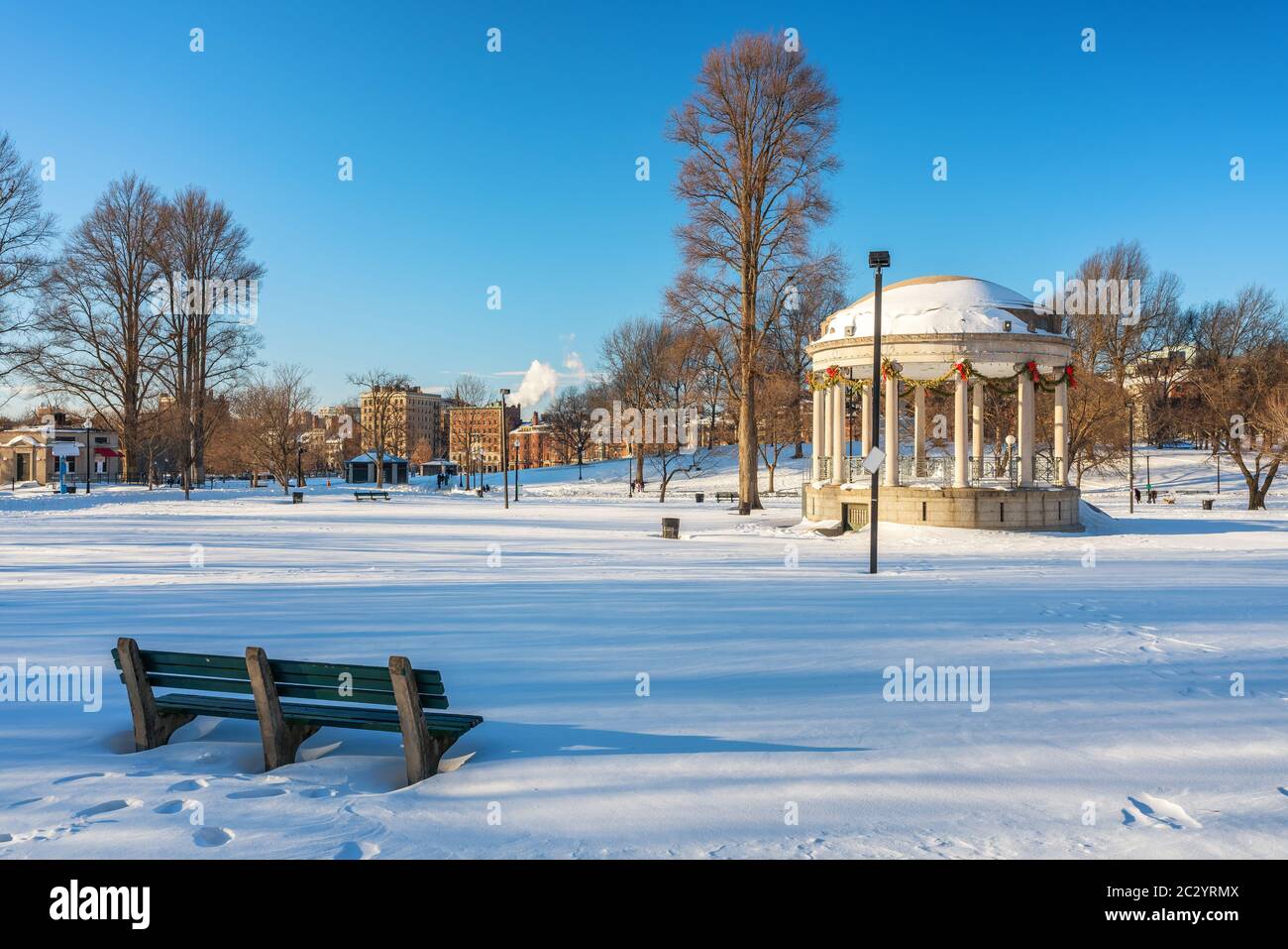 Boston public garden bench hires stock photography and images Alamy