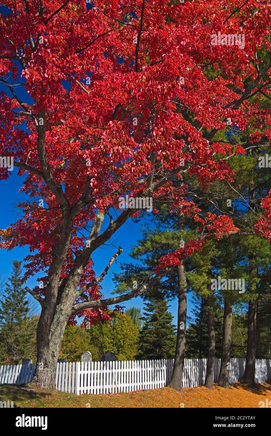 Holderness Cemetery, Lakes Region, New Hampshire, New England, USA