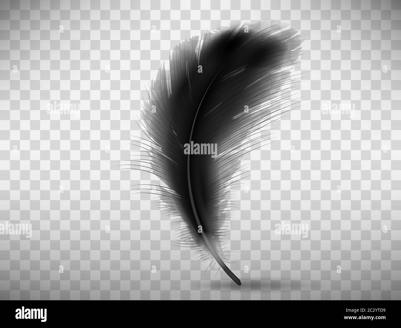 Black fluffy feather with shadow vector realistic illustration, isolated on transparent background. Feather from wing of bird or fallen angel, symbol Stock Vector