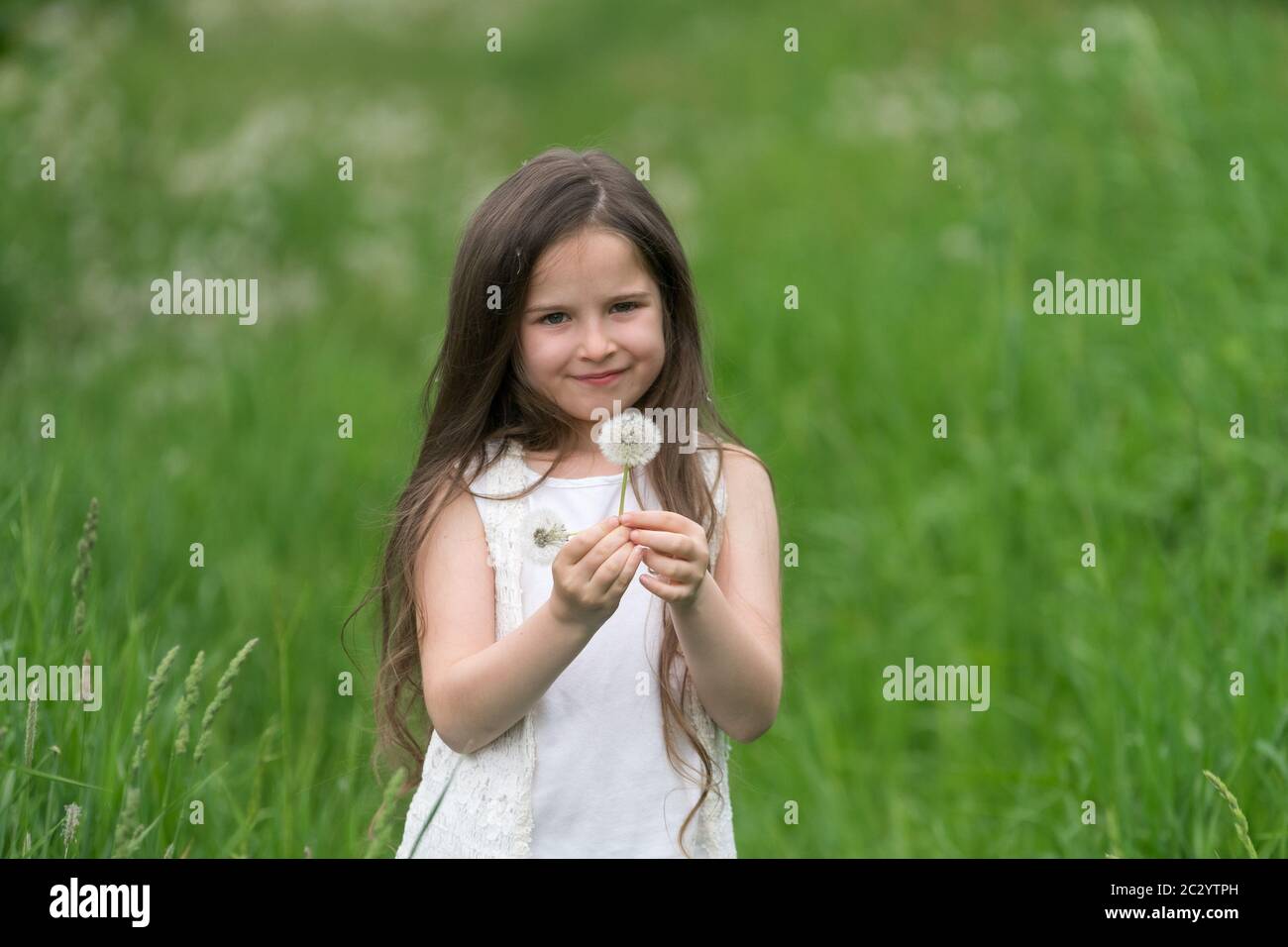 Portrait of a beautiful little girl with dandelions Stock Photo - Alamy