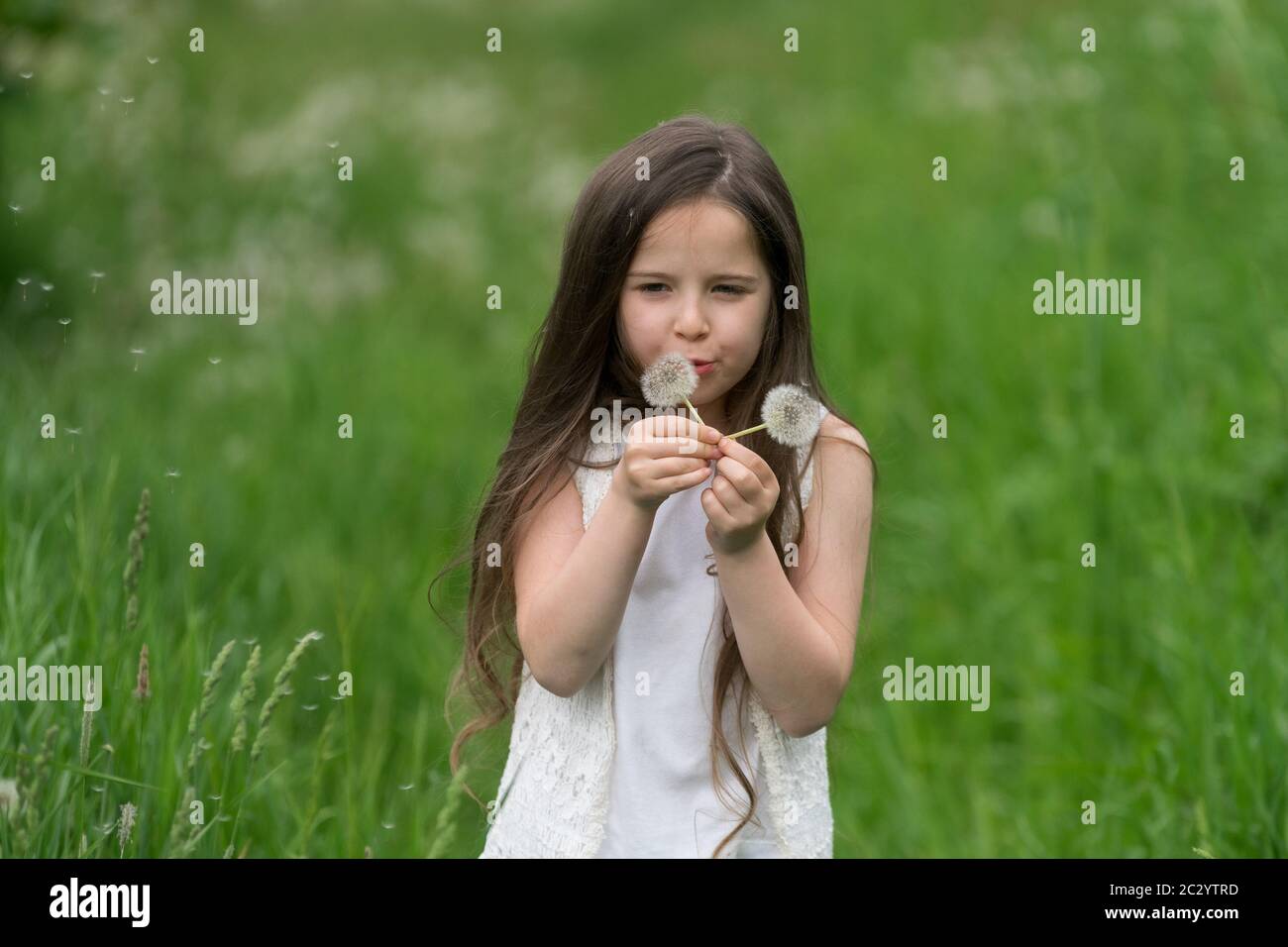 Portrait of a beautiful little girl with dandelions Stock Photo - Alamy
