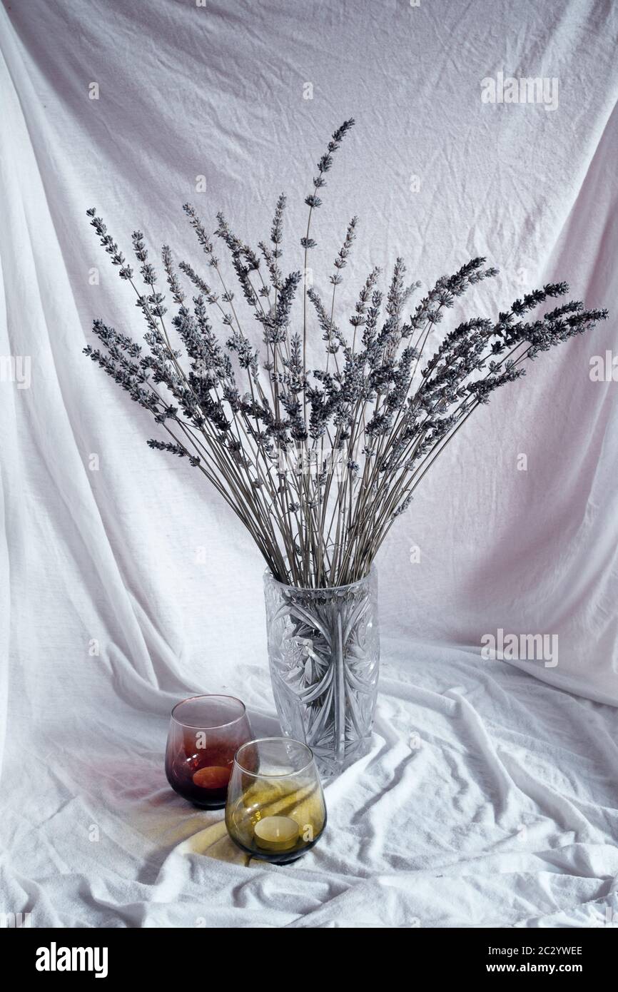 Lavender still life vase hires stock photography and images Alamy