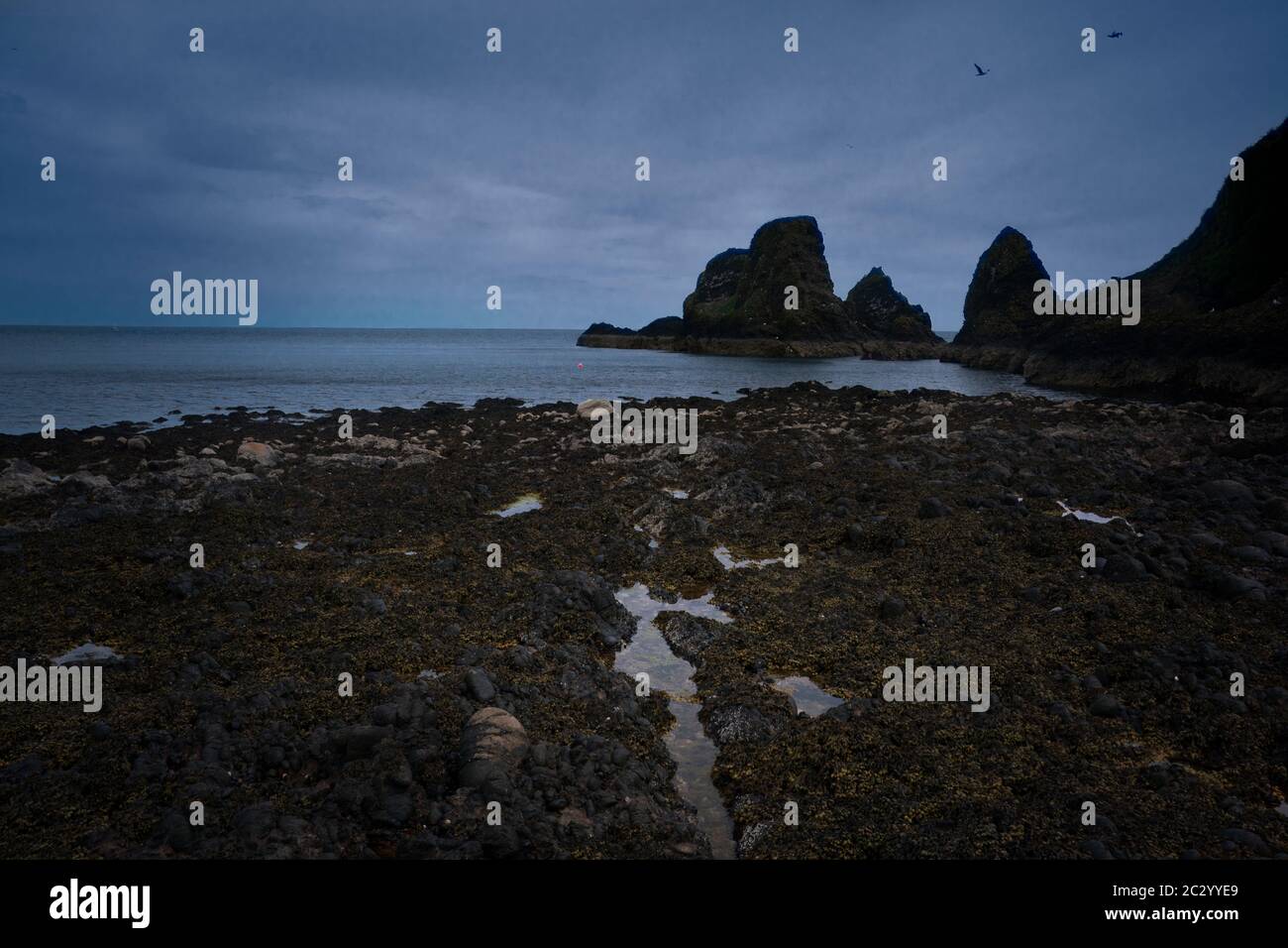 Dramatic coast with rock outcroppings at sea on a stormy afternoon ...