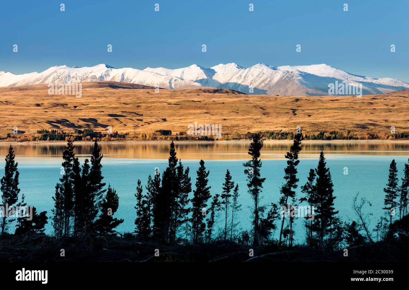 Lake Pukaki in front of snowy mountain range, Mount Cook Road Area, Tekapo, Twizel, Canterbury, New Zealand Stock Photo