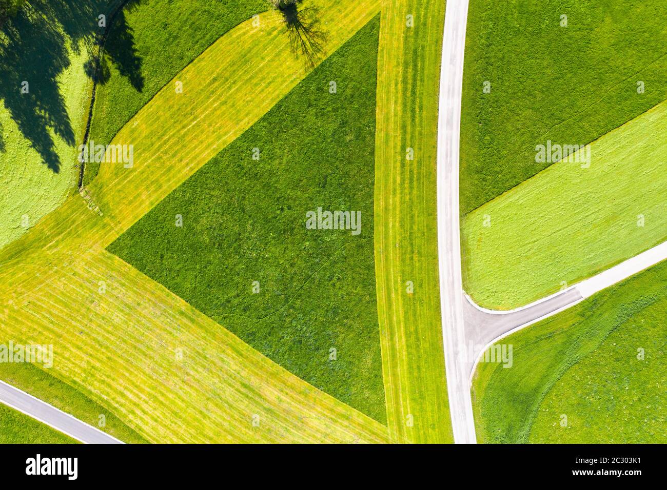 Cultural landscape, triangle in partially mowed meadow from above, near Hopferau, drone photograph, Ostallgaeu, Allgaeu, Swabia, Bavaria, Germany Stock Photo