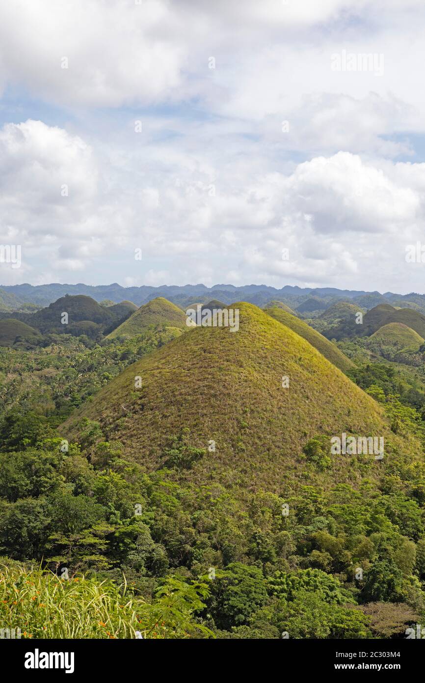 Chocolate Hills, Bohol Island, Central Visayas, Philippines Stock Photo Alamy