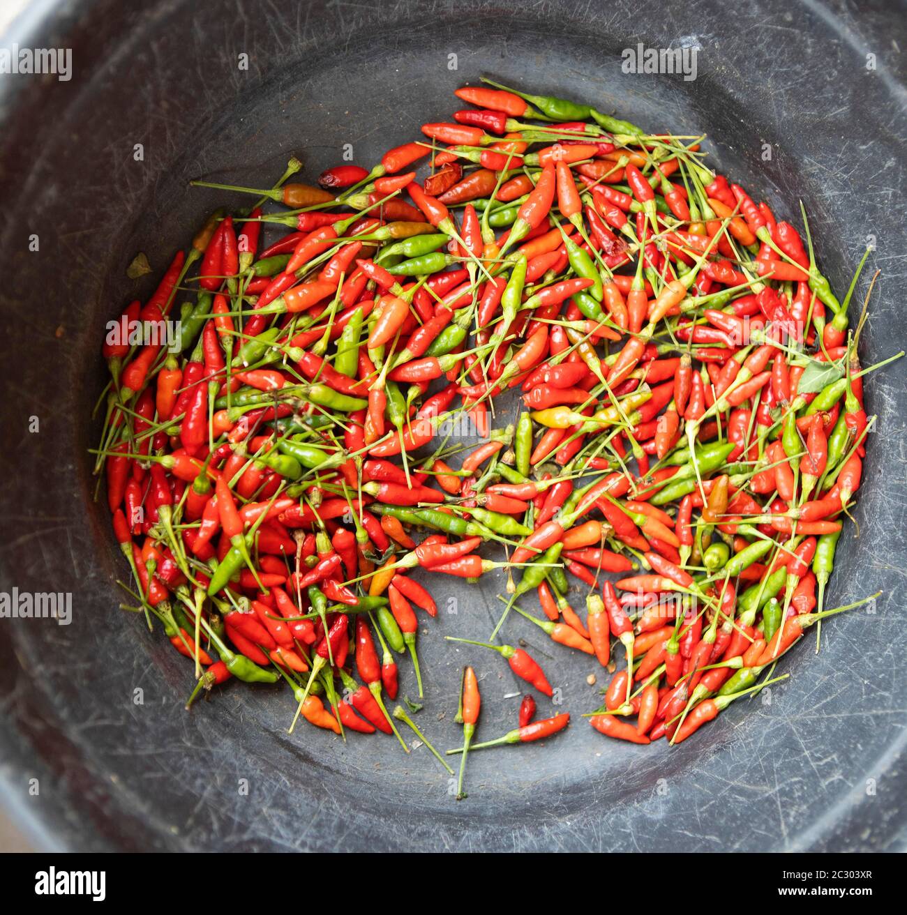 Red and green chili peppers, Lapu Lapu City, Cebu, Central Visayas, Philippines Stock Photo