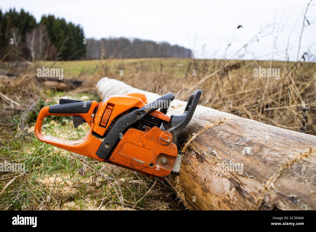 Chain saw Feuerhol cutting Stock Photo Alamy