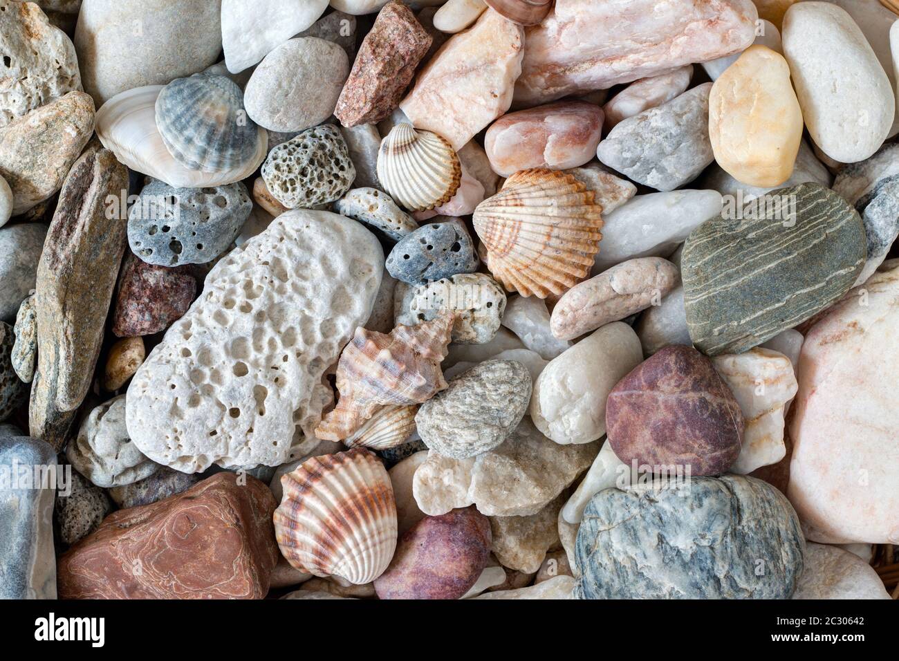 Detail of the pebble stones and scallops and shells Stock Photo