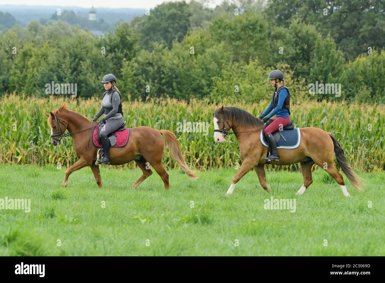 Two riders wearing a body protector on a Connemara Pony and a German