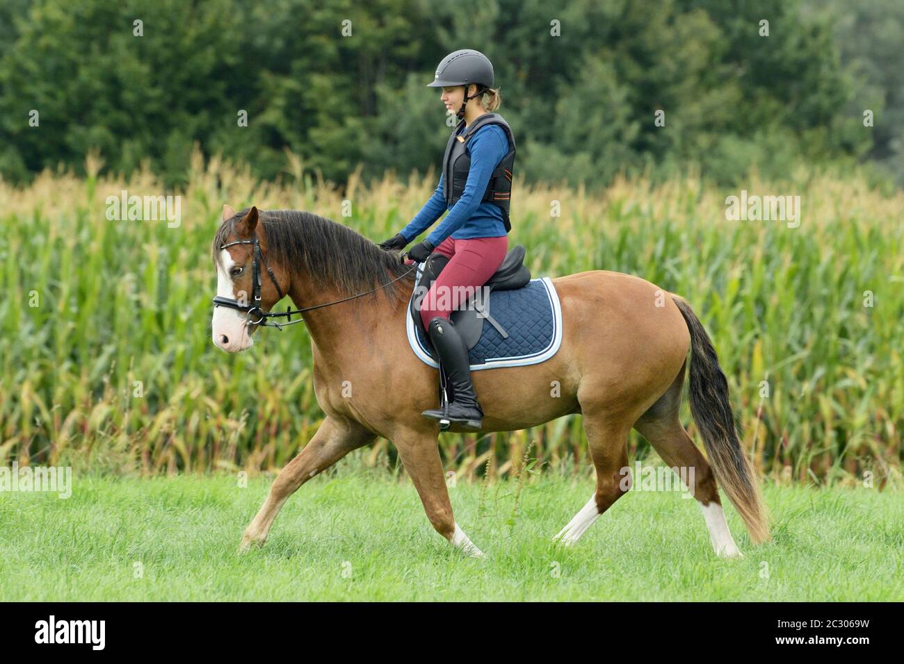 Young rider wearing a body protector riding on back of a Connemara pony