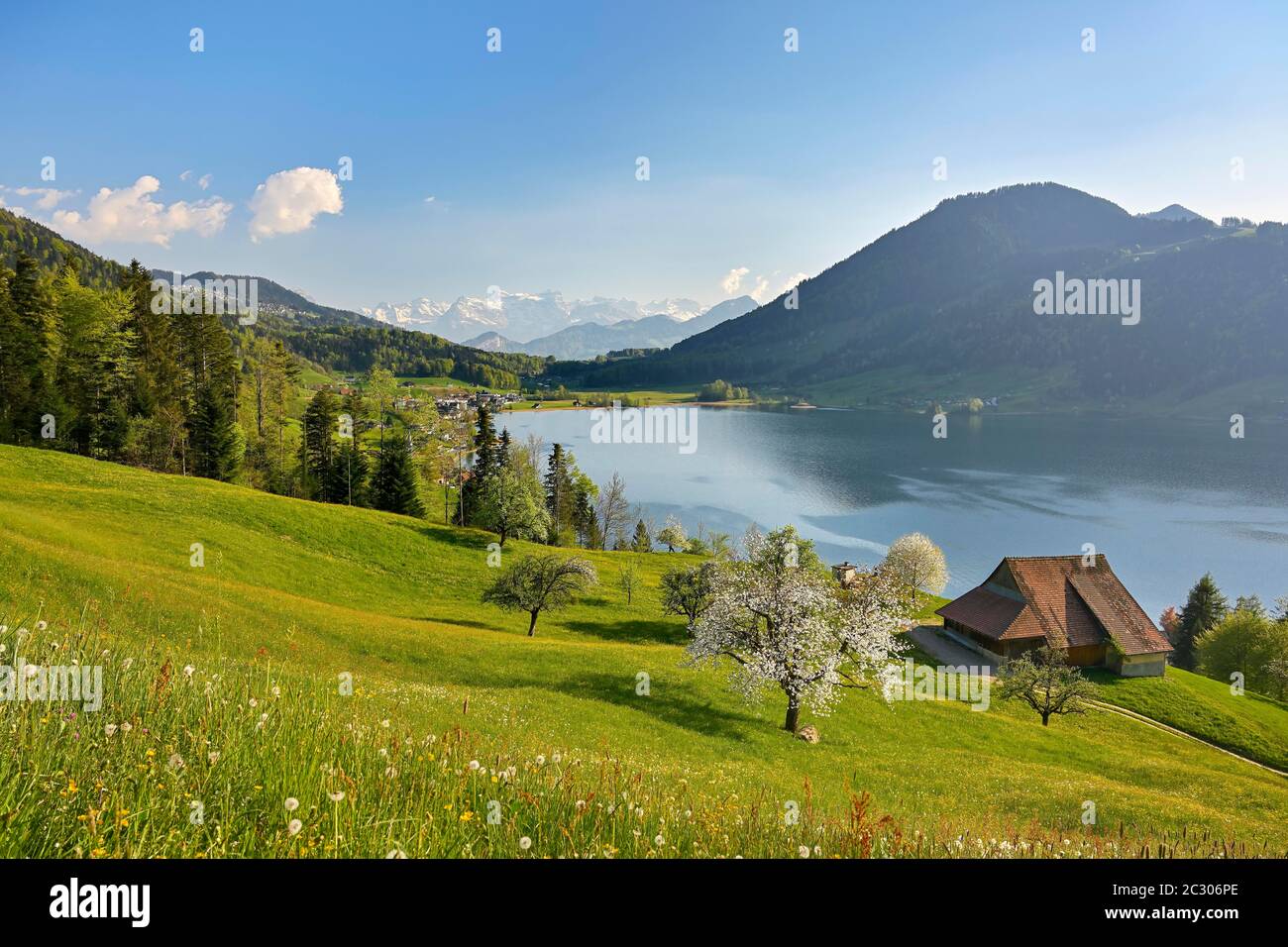 View Of Morgarten At Lake Aegeri Hi res Stock Photography And Images 