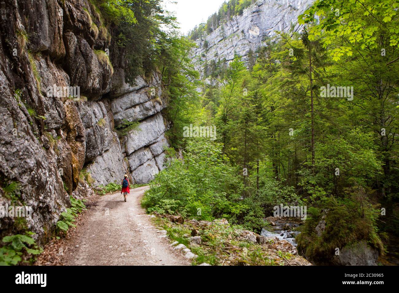 Hike from Rettenbachalm through Rettenbachtal to Blaa Alm, Bad Ischl, Salzkammergut, Upper Austria, Austria Stock Photo