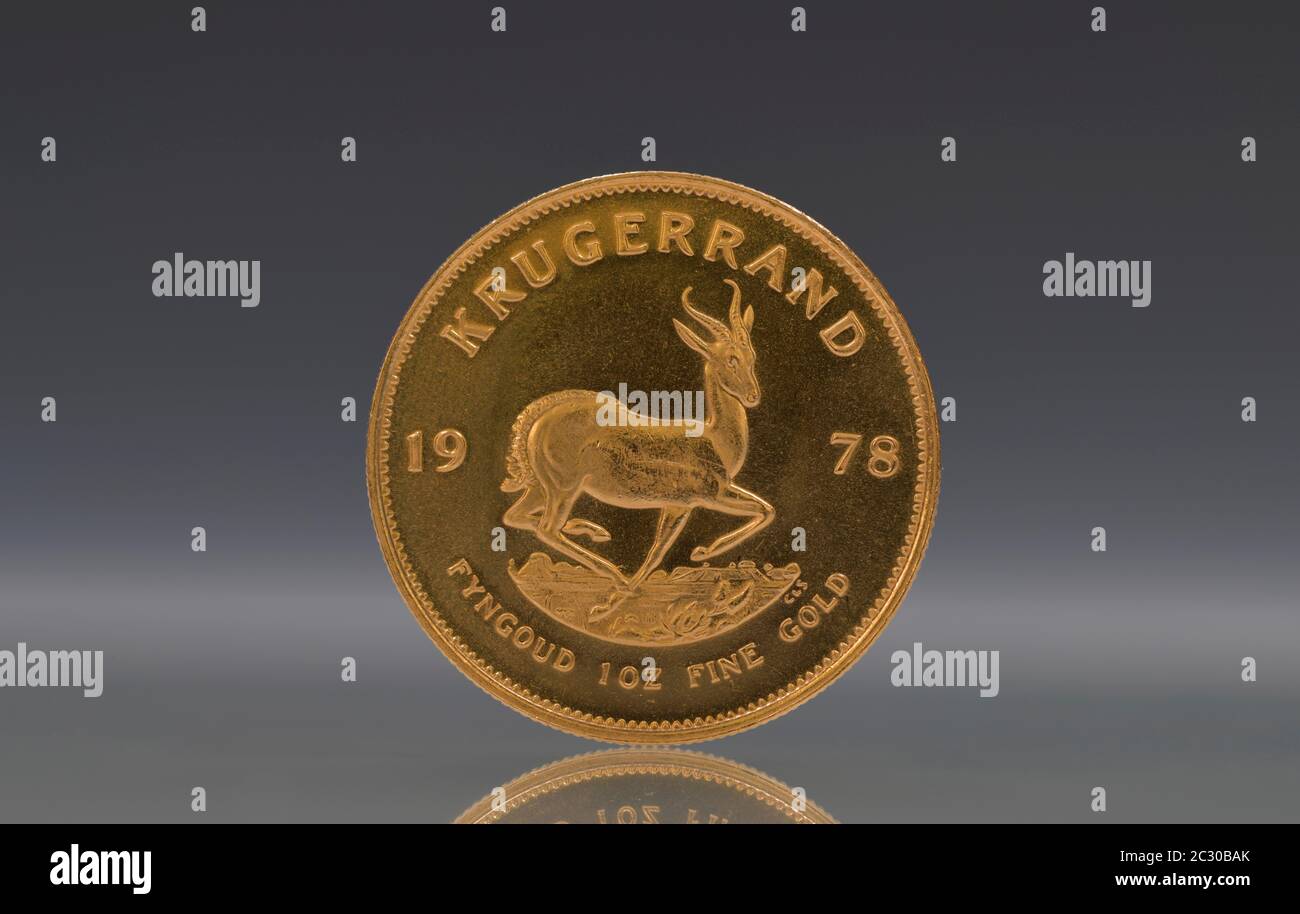 South African gold coin, 1 ounce, Krugerrand, reverse, Springbok antelope,  South Africa Stock Photo - Alamy