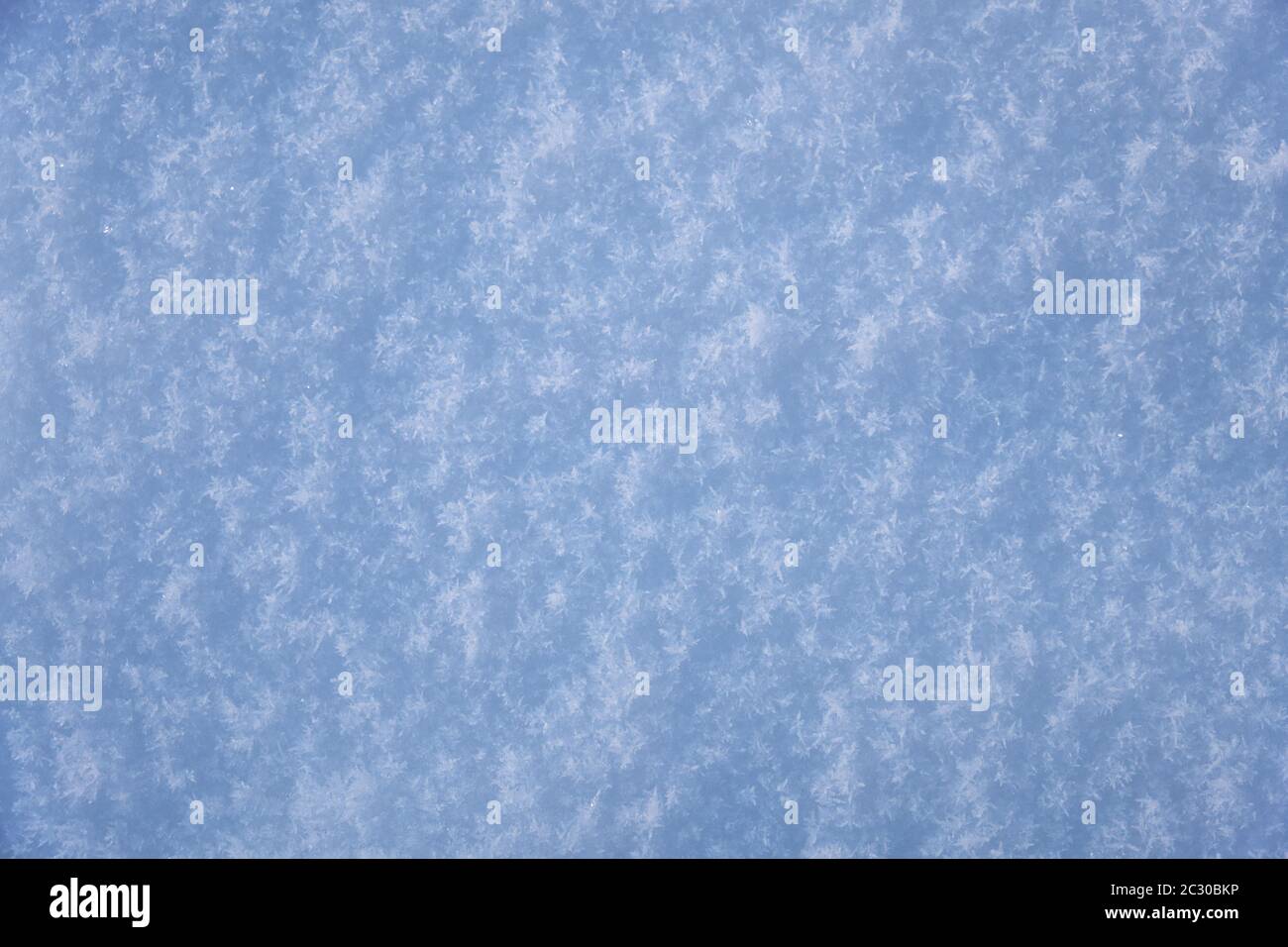 Snow texture. Natural winter background Stock Photo