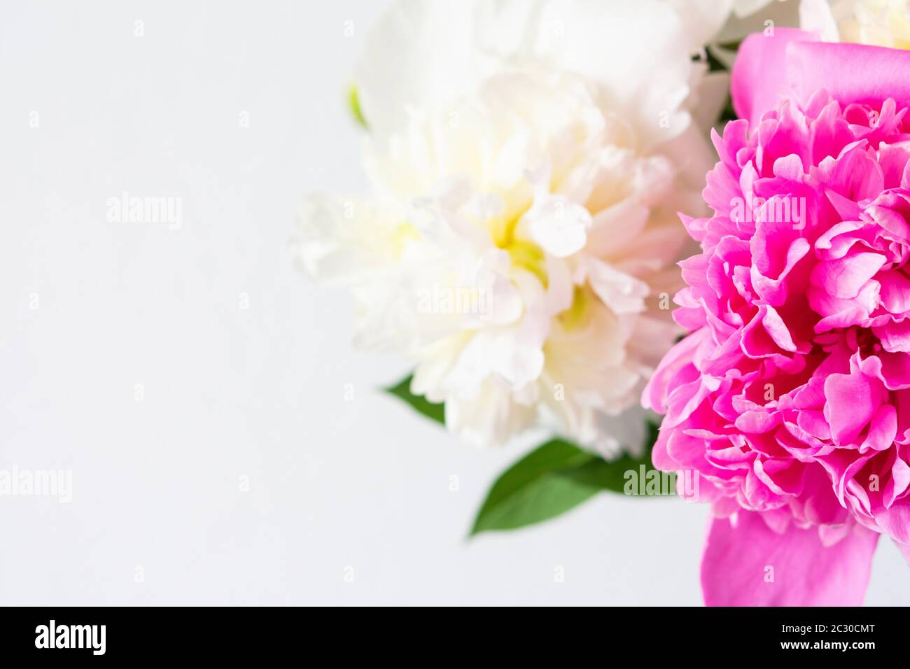 Beautiful bouquet of peonies, pink and white peonies floral background ...