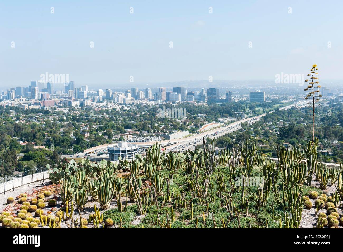 View of cactus garden and downtown from the Getty Center in Brentwood, J. Paul Getty Museum, Los Angeles, Los Angeles, California, USA Stock Photo