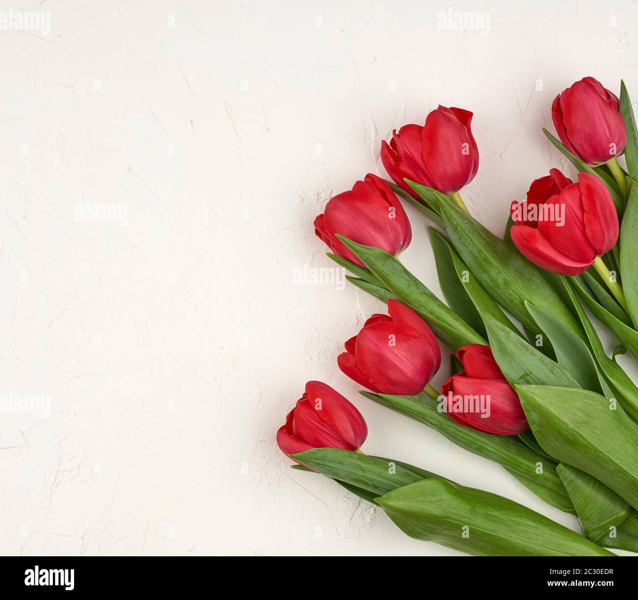 bouquet of red blooming tulips with green stems and leaves on a white ...