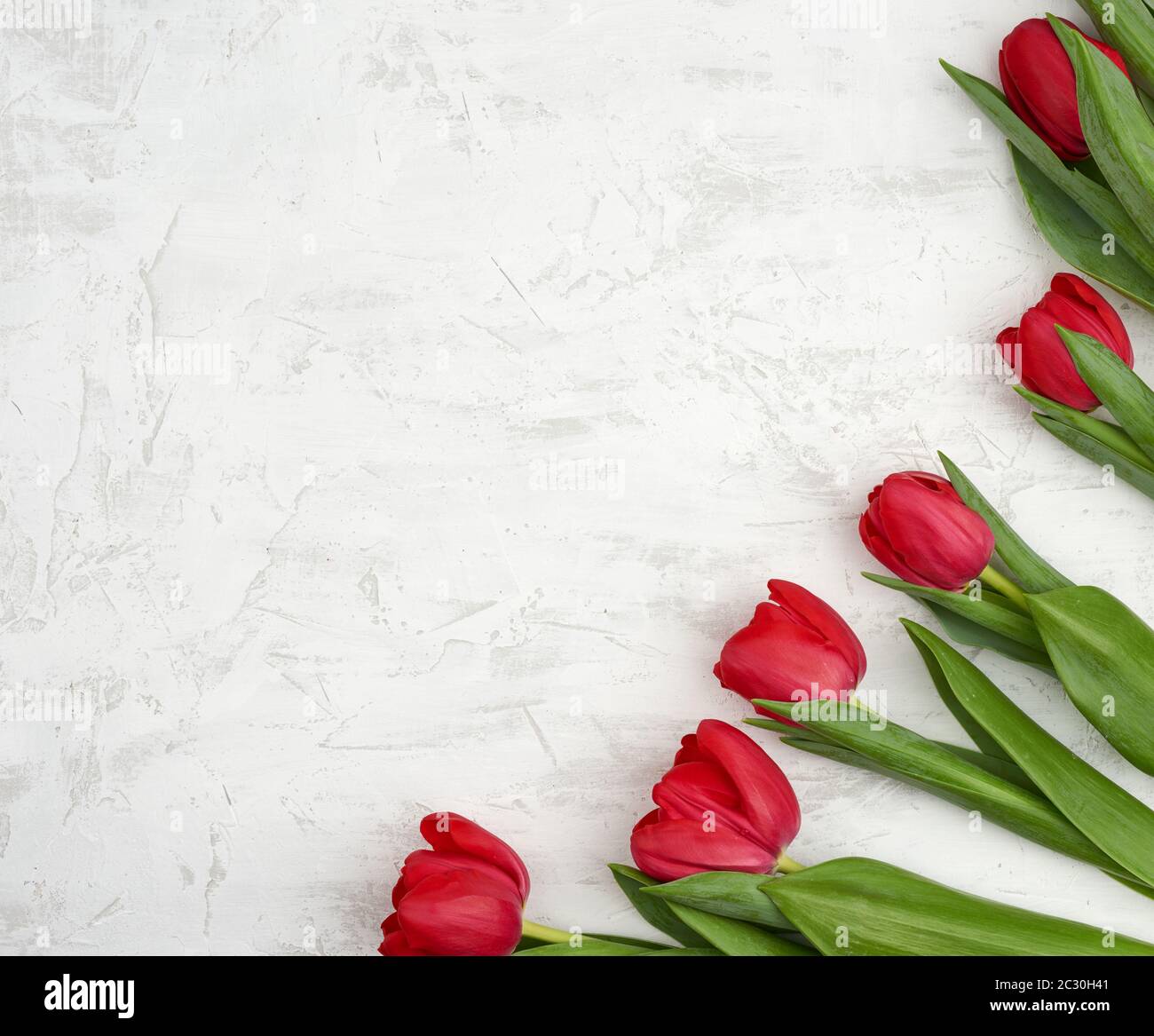 bouquet of red blooming tulips with green stems and leaves on a white ...