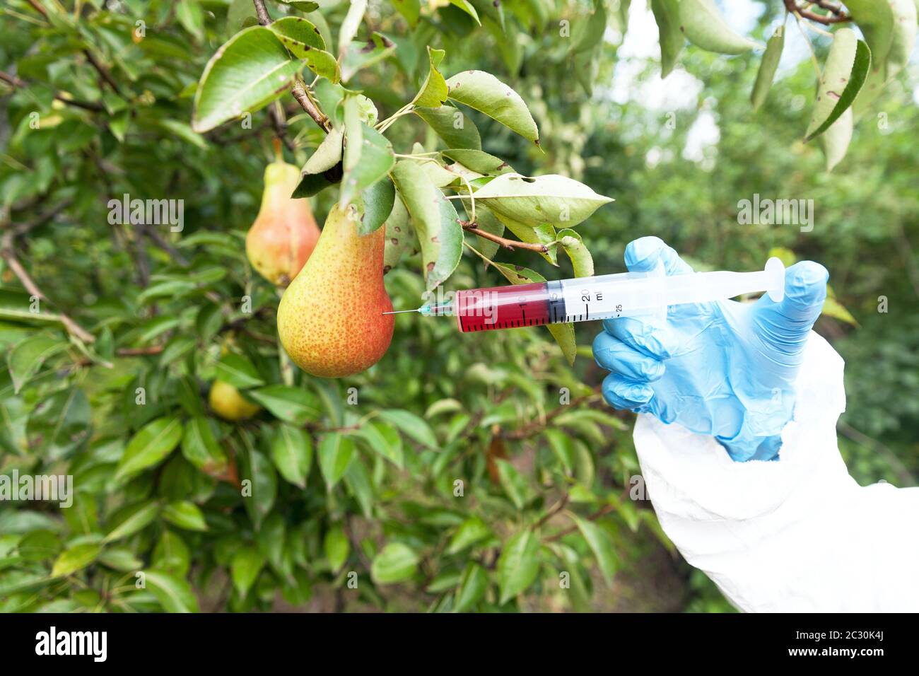 Fruits colored with artificial color Stock Photo Alamy