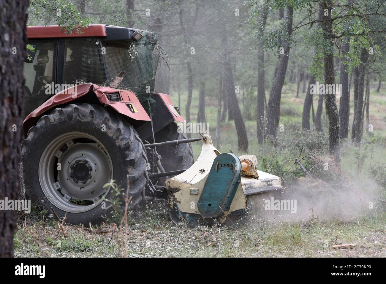 A tractor clearing a forest of pine trees with a brush-cutter.Spanish  province of Soria is an example in the management of its forests. Some  areas have not experienced fires for 800 years.