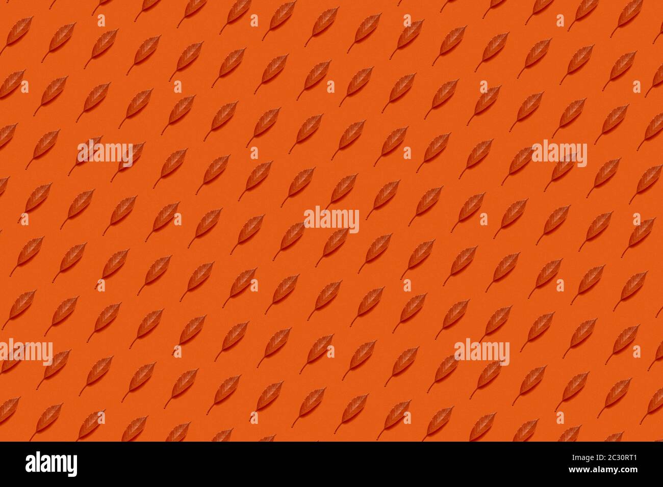 Creative fall colored leaves pattern Stock Photo Alamy