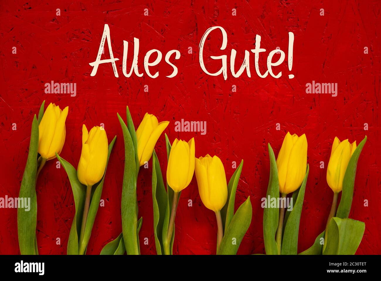 Red Wooden Background With German Text Alles Gute Means Best Wishes Yellow Tulip Flowers In Spring Season Stock Photo Alamy