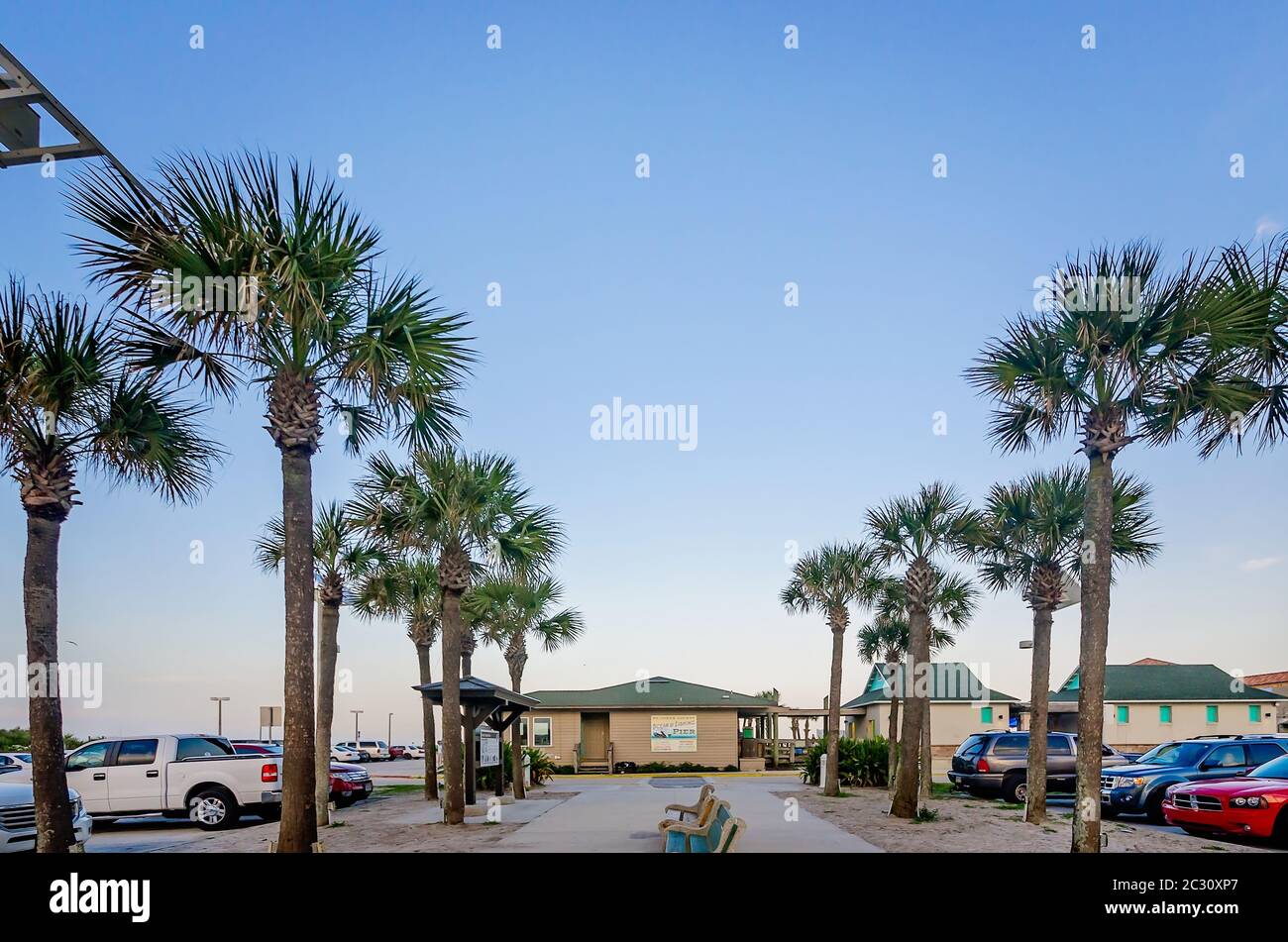 Palm trees line the entrance to St. Johns County Ocean Pier, April 14, 2015, in St. Augustine, Florida. Stock Photo