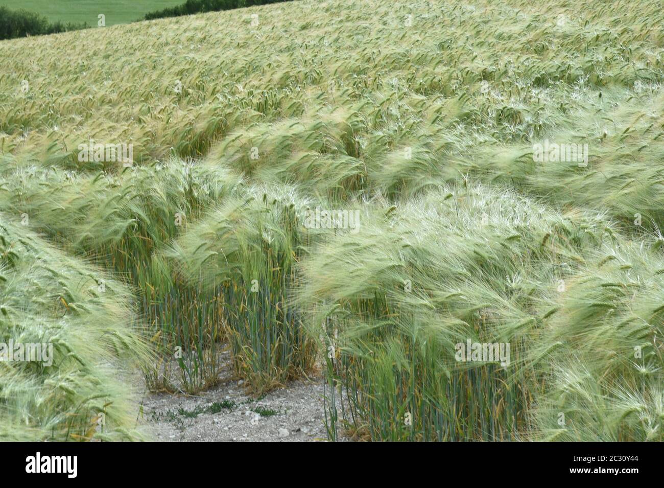 Aerial views of rolling farmland Stock Photo Alamy