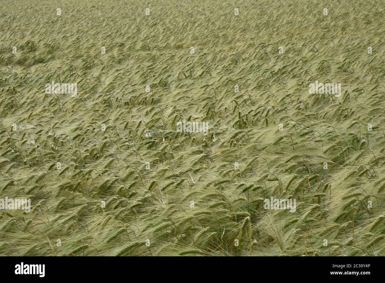 Aerial views of rolling farmland Stock Photo Alamy