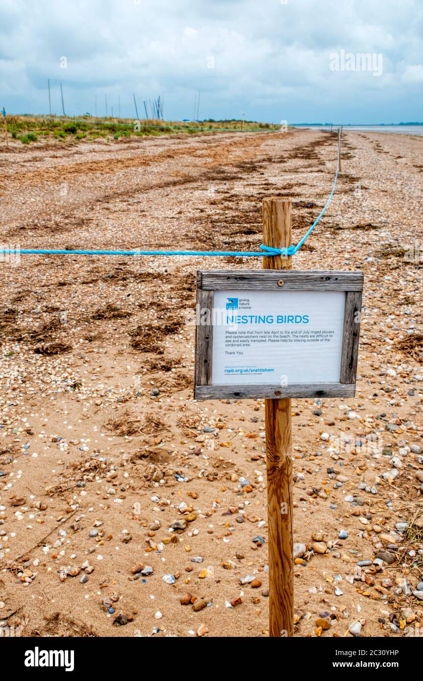 Area of Snettisham beach on the shores of the Wash roped off to protect nests of ringed plovers & oystercatchers. An RSPB sign warns of Nesting Birds. Stock Photo