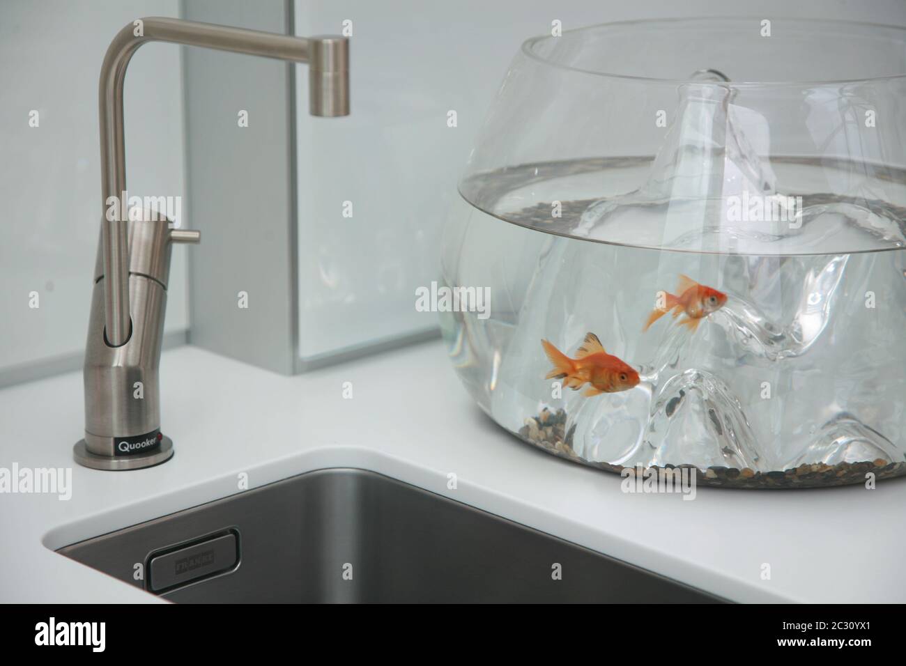 A glass fishbowl with goldfish sits next to a sink with a quooker tap in a  modern kitchen Stock Photo - Alamy
