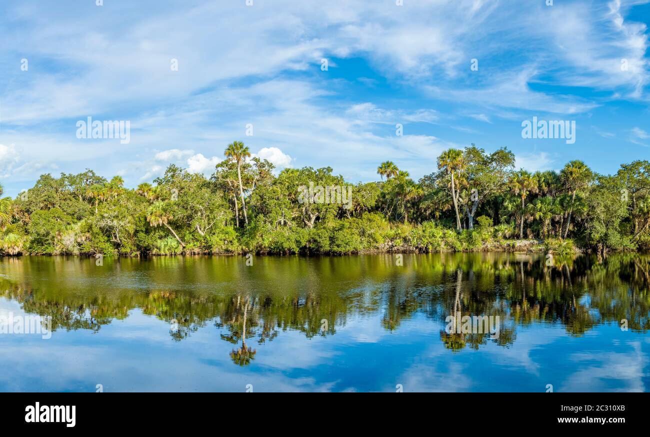 Myakka River, Venice, Florida, USA Stock Photo