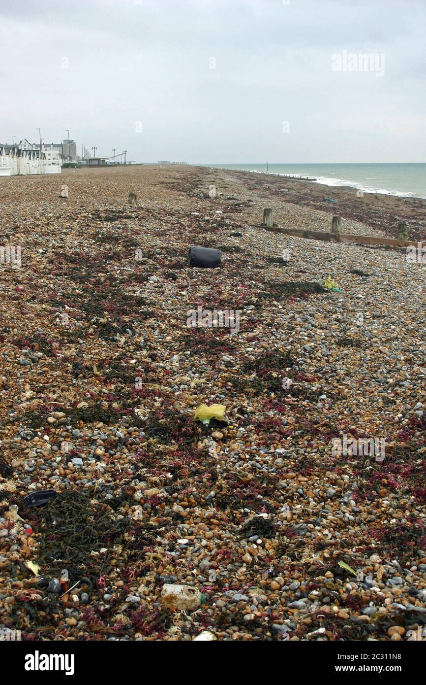 Strandline on Worthing beach in Sussex. Lots of litter mixed in amongst the seaweed. Beach with pebbles and breakwaters. Sea visible in the distance. Stock Photo