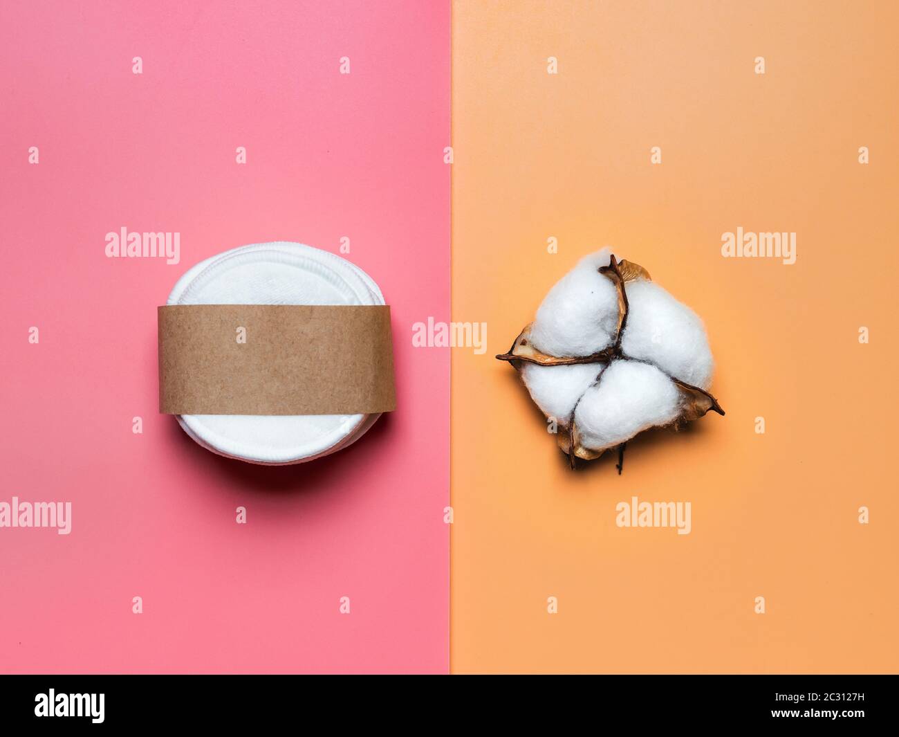 Cotton flower or cotton bud on colorful background Stock Photo Alamy