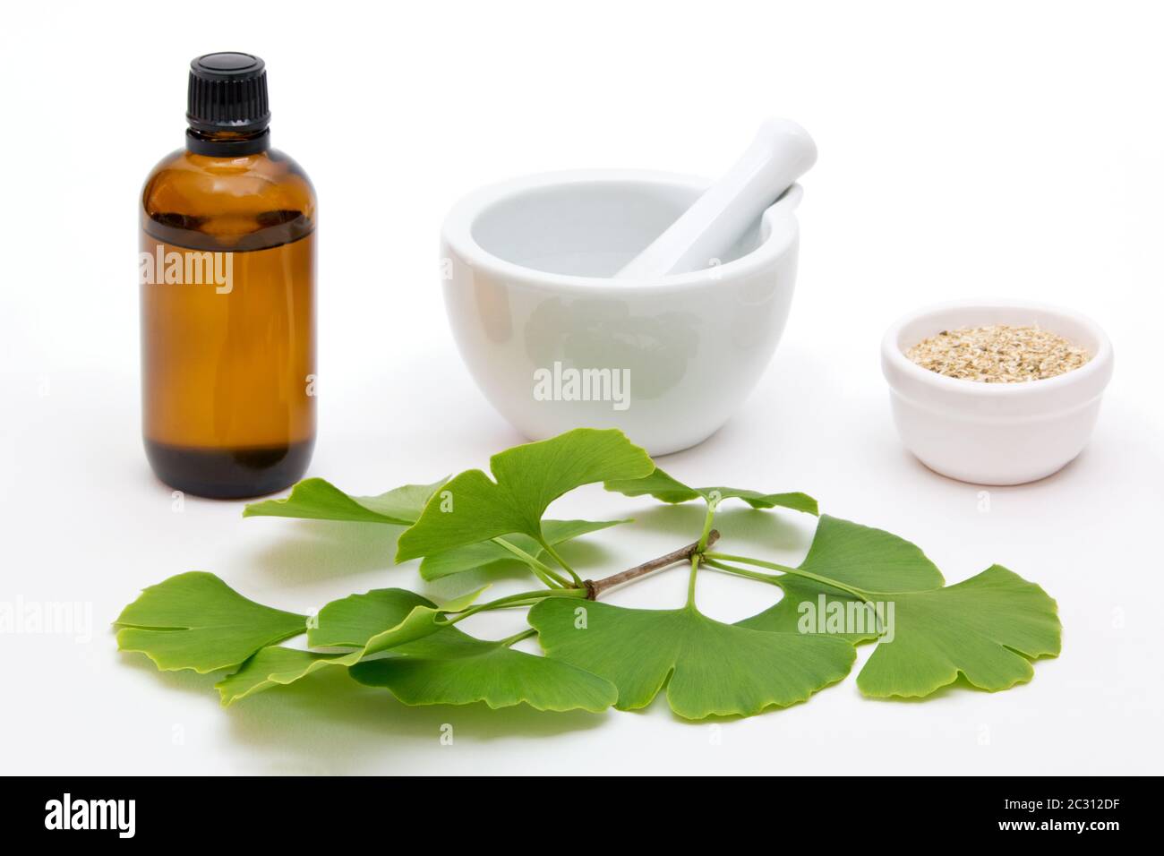 herbal medicine of ginkgo Stock Photo
