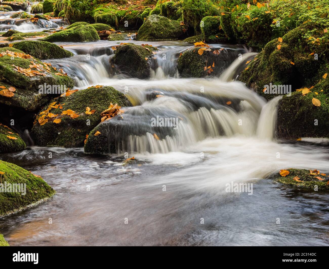 The little Ohe, river in the National Park Bavarian Forest Stock Photo
