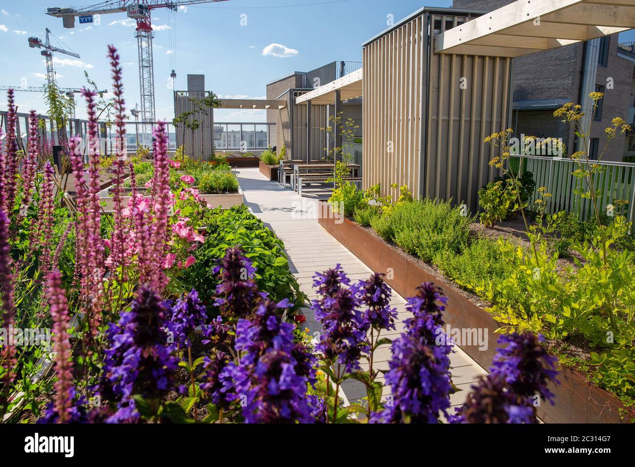 Roof Garden is a residential building near the port of Helsinki and the