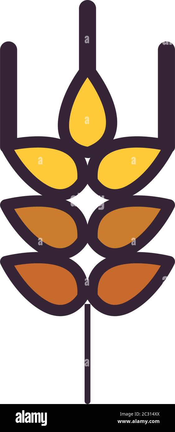 Wheat ear line and fill style icon design, Food grain and agriculture ...
