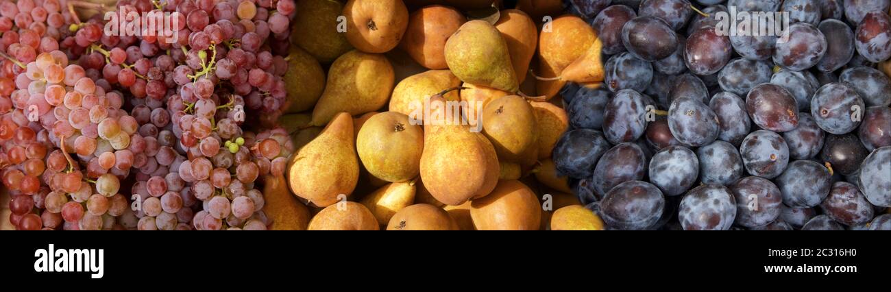 View of organic fruits Stock Photo