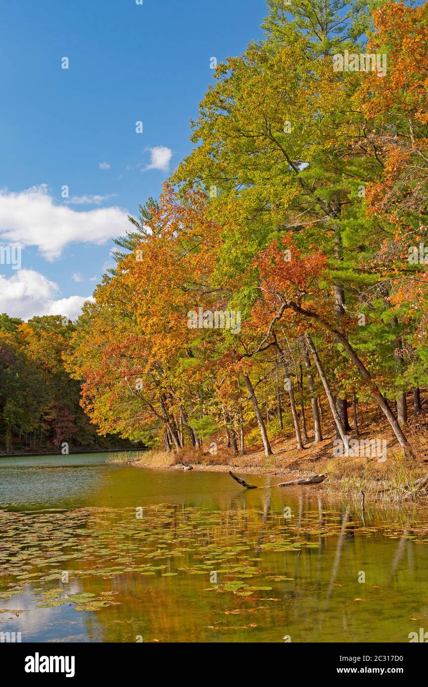 Calm Waters in the Early Fall on Chenango Lake in Chenango Valley State