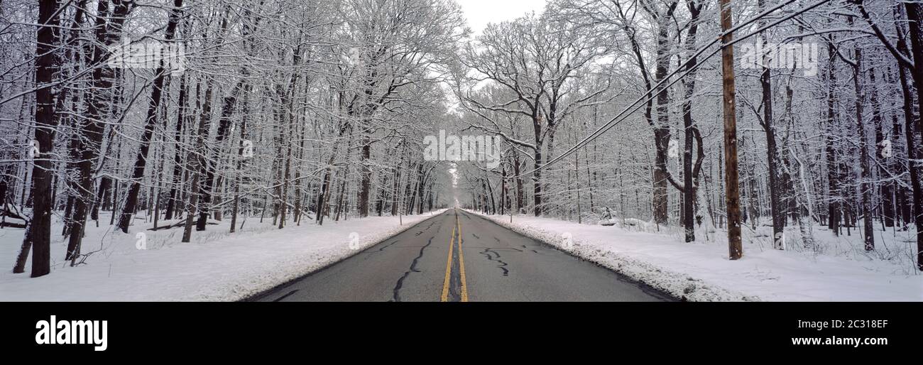 Road passing through winter forest, Wheeling, Illinois, USA Stock Photo