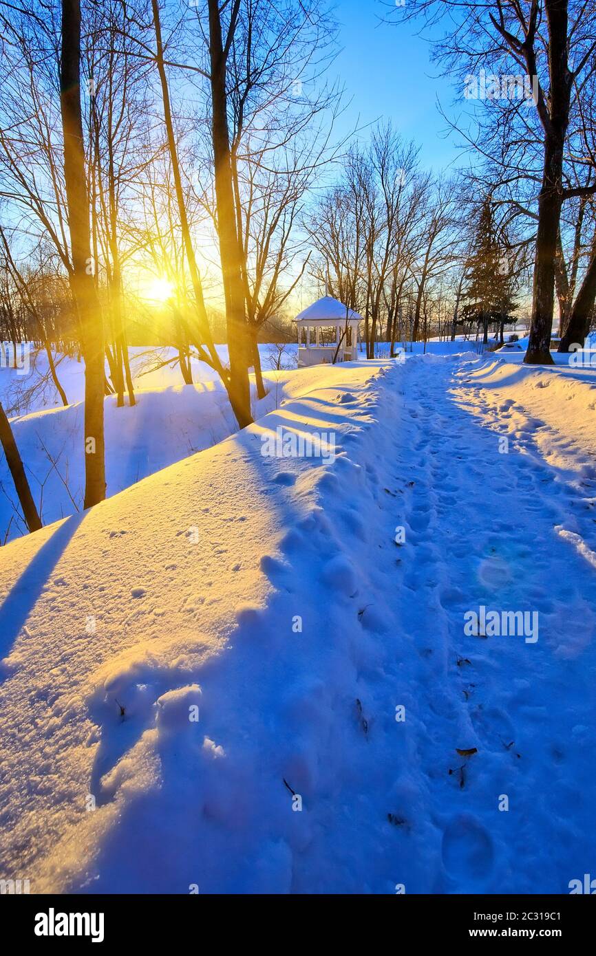 Sunset in winter park Stock Photo