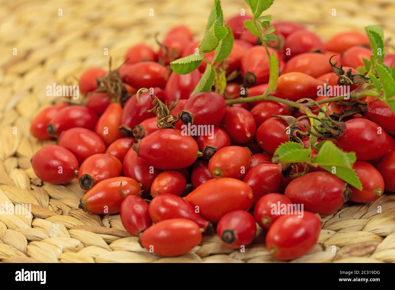 Ripe harvested rose hips on a bast bowl Stock Photo
