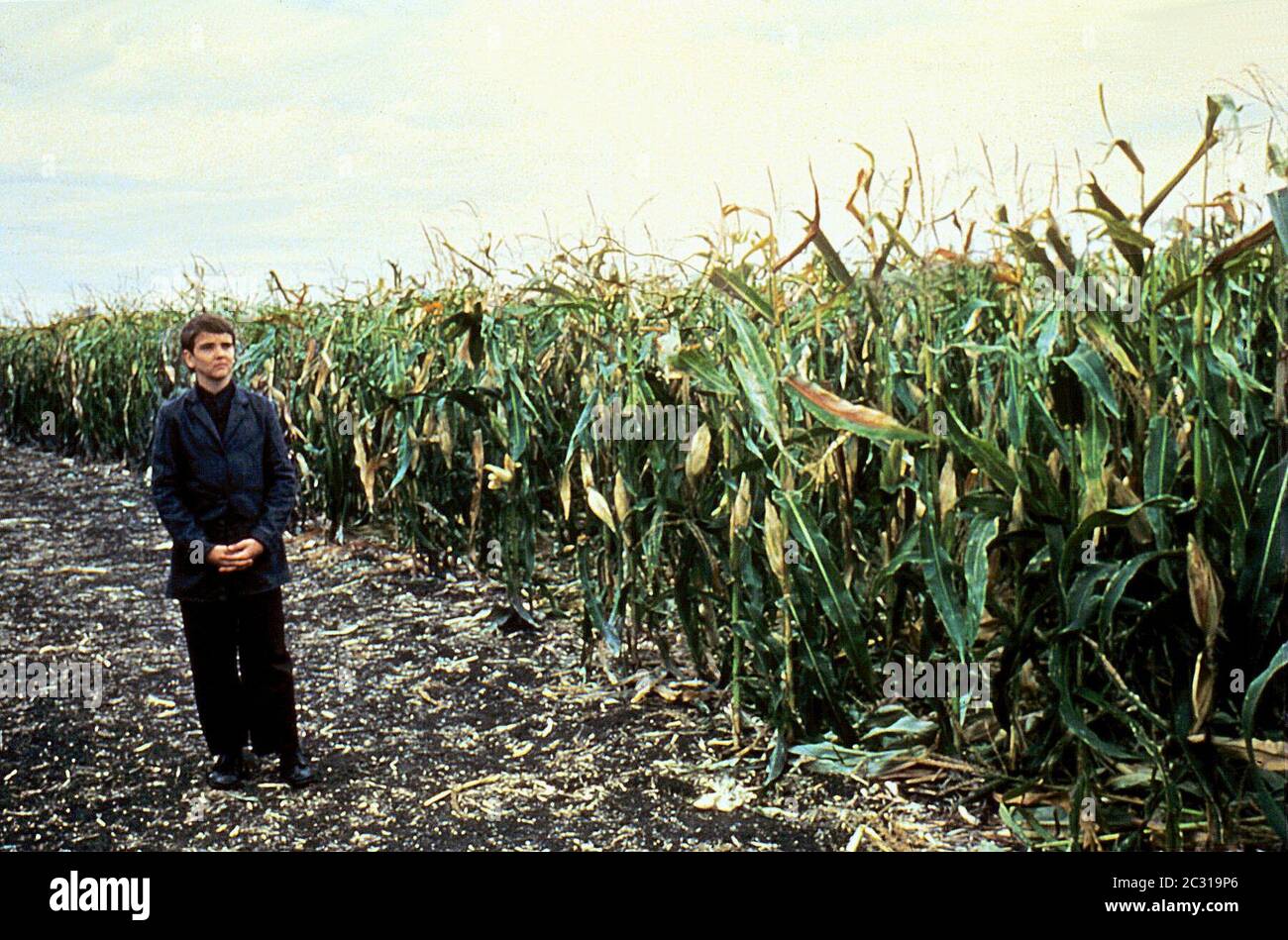 Кукуруза сбор урожая. Дети кукурузы Малахия. John Franklin actor дети кукурузы. Дети кукурузы 1984 Малахия.