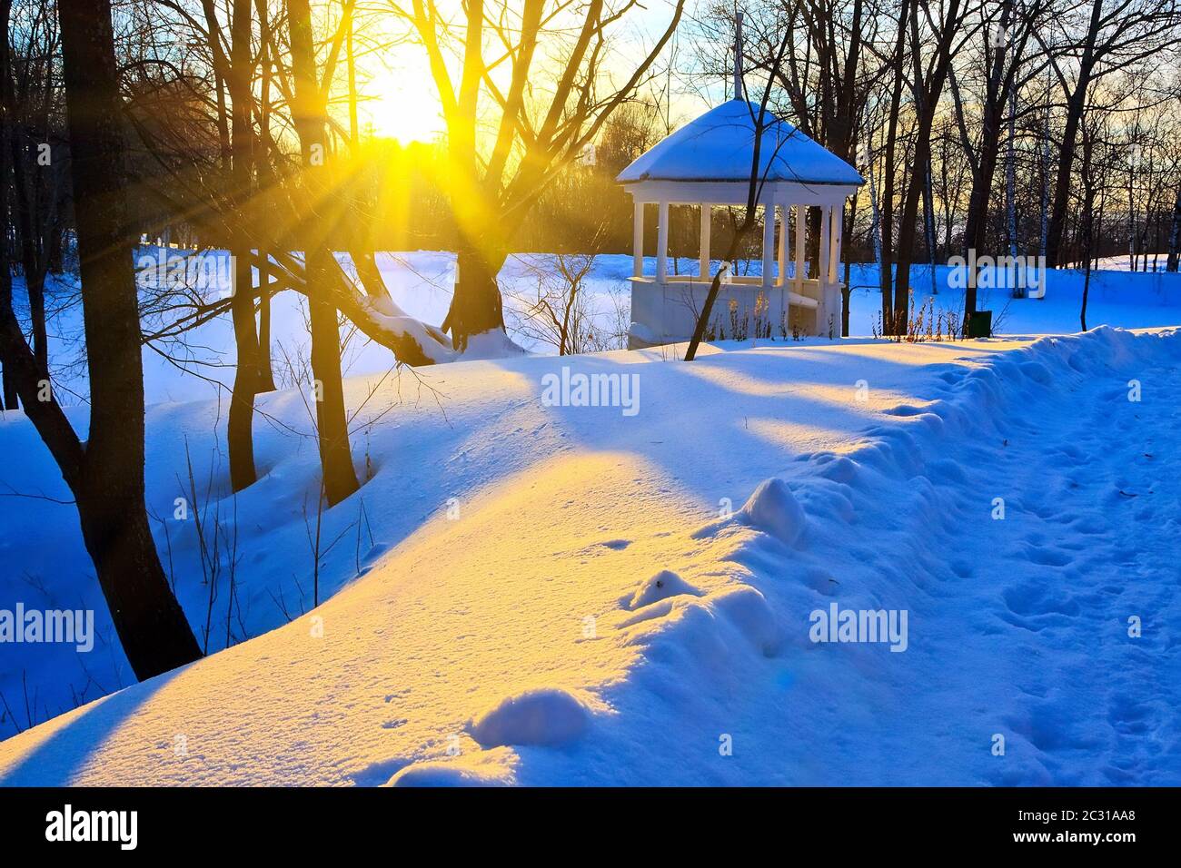 Sunset in winter park Stock Photo
