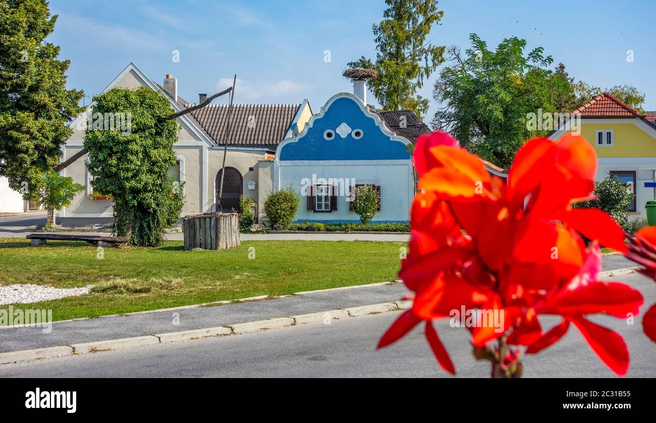 idyllic scenery including a red flower in Apetlon, a town in a area named Burgenland in Austria Stock Photo