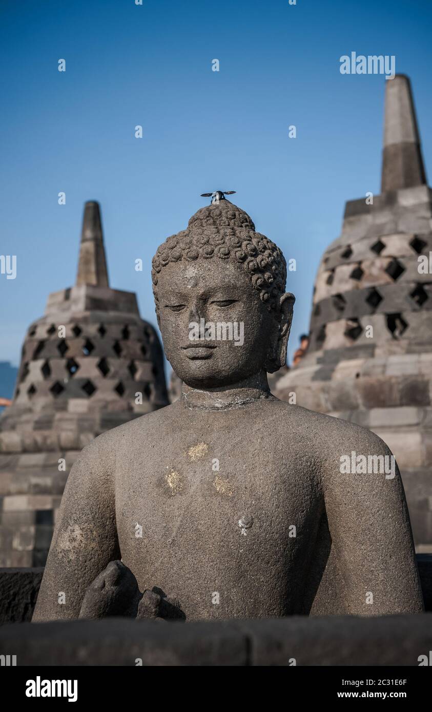 Buddha statue at Borobudur temple, Java, Indonesia Stock Photo Alamy