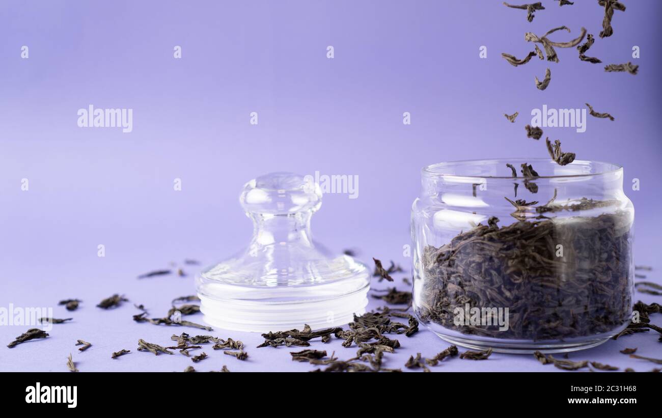 Large leaf black tea in glass jar. Flying tea leaves. Falling dried green tea leaves into bottle. Purple background. Stock Photo